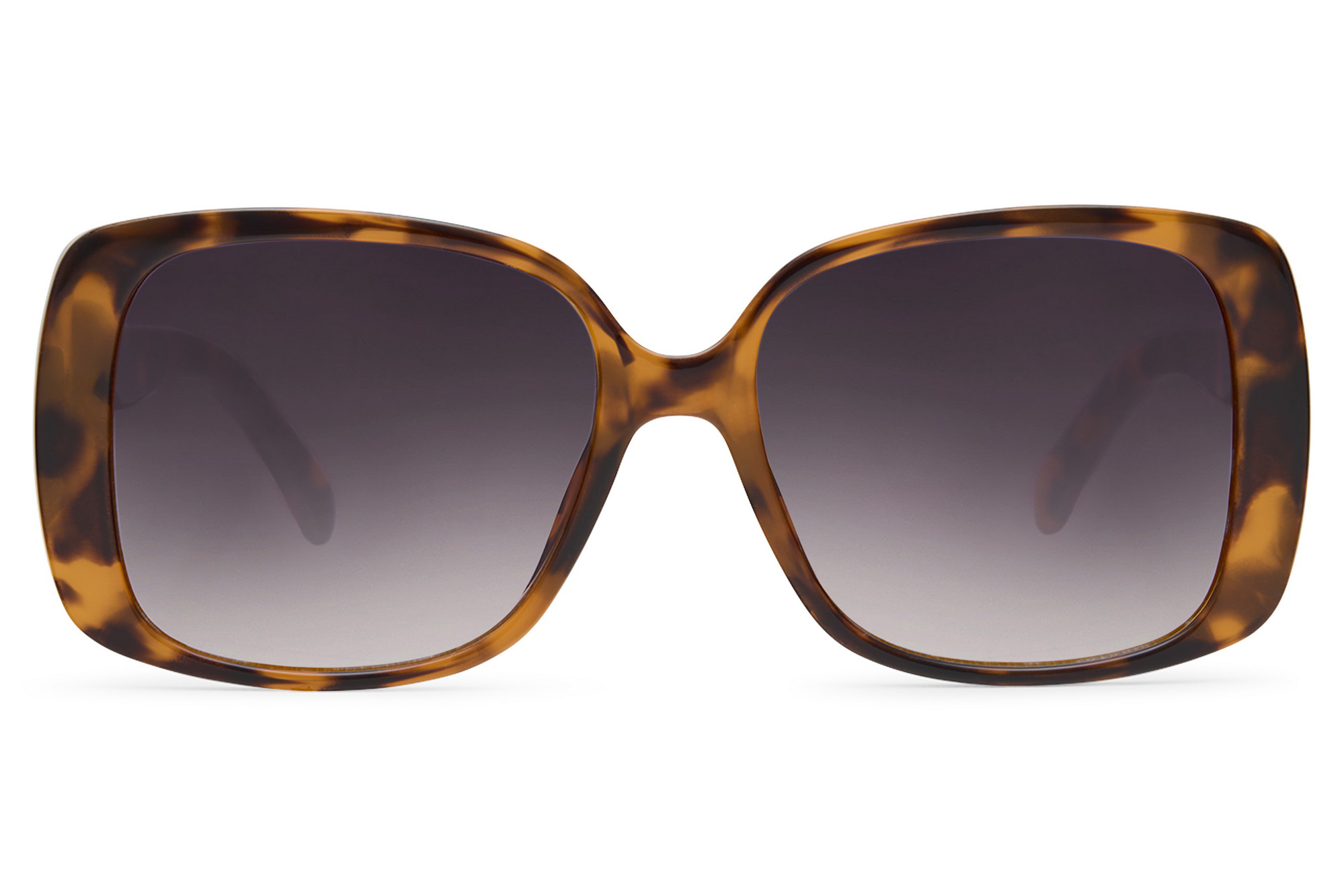 attribute-option-6000-10