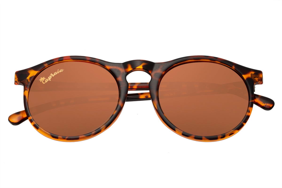 Arilla3 main product photo